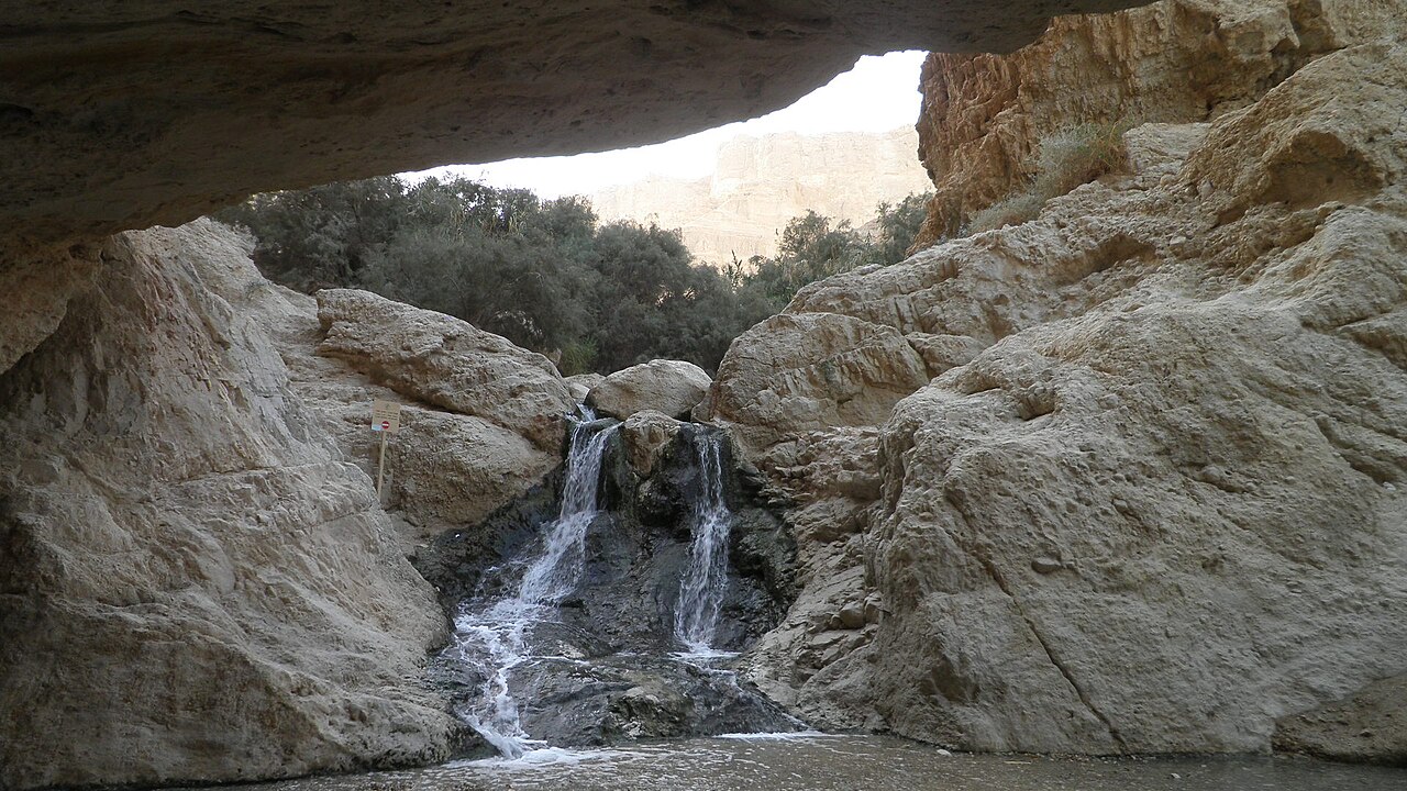 עין בוקק