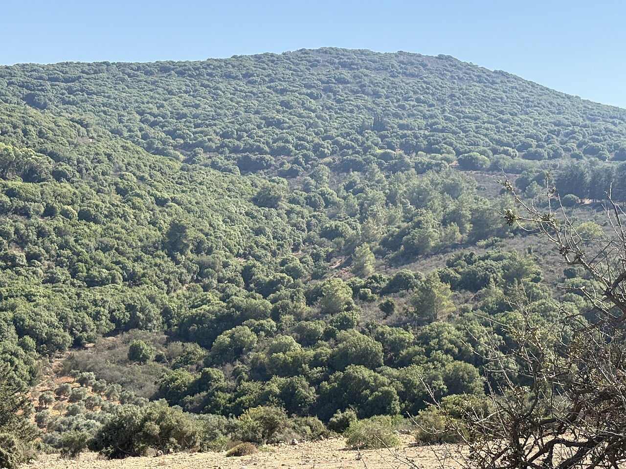 הר עצמון