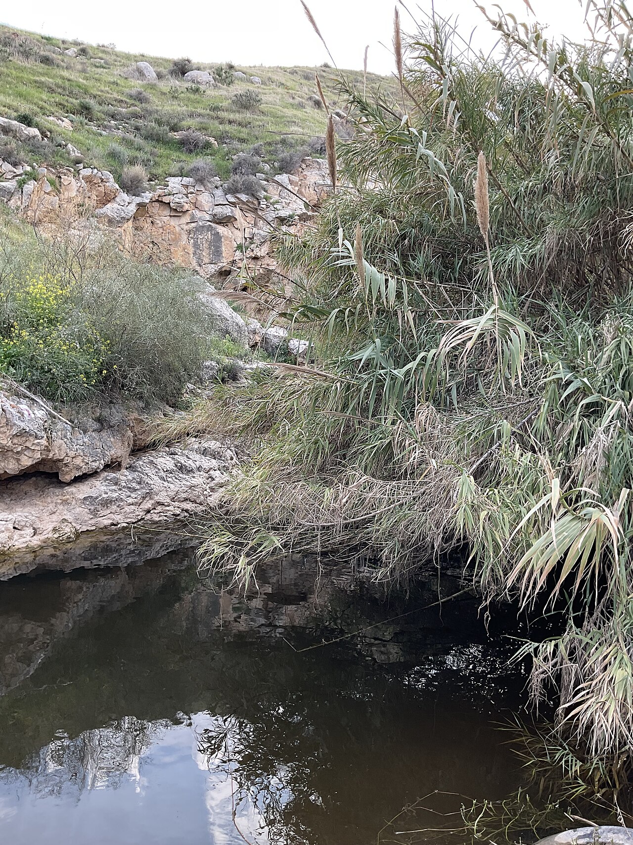 עין פרת