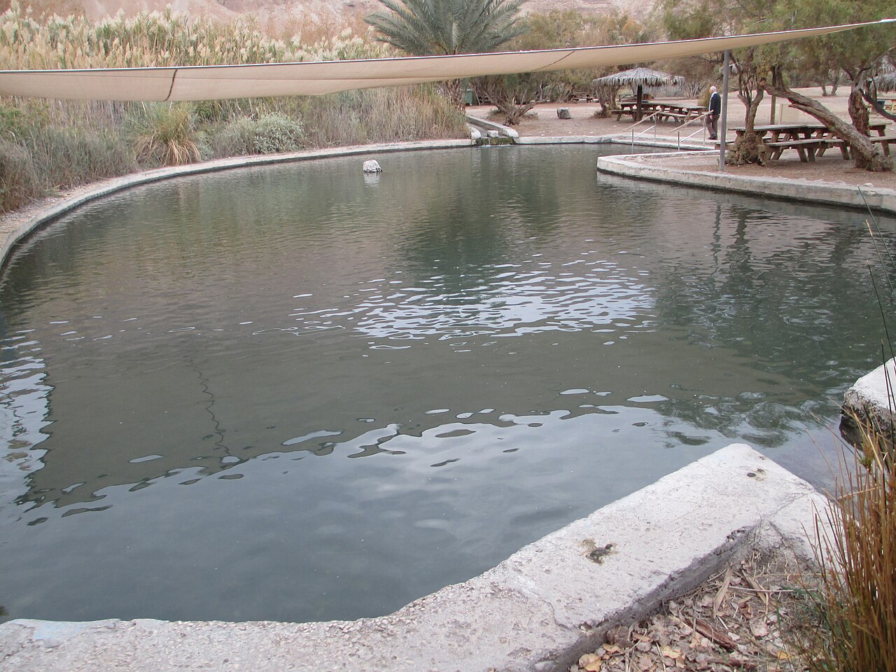 עיינות צוקים (עין פשחה)