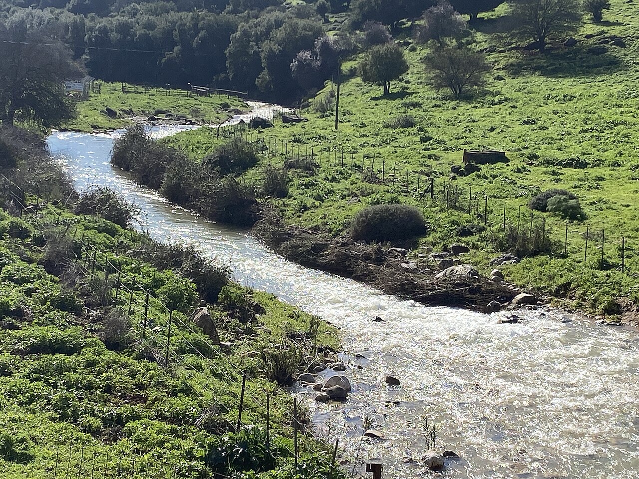 מקטע 5: דישון – ברעם