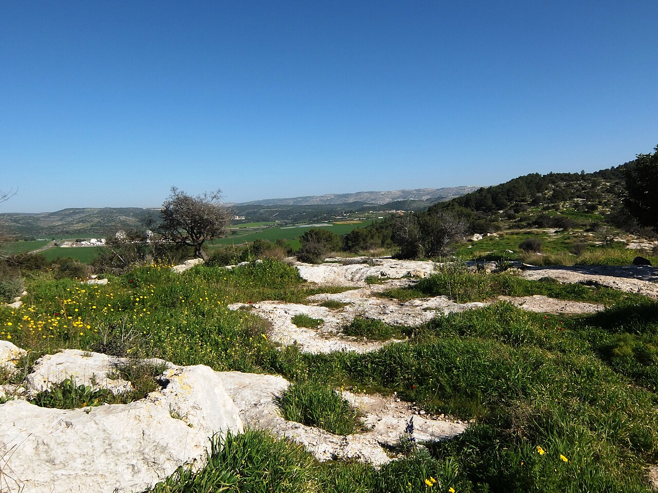תל שוכה (גבעת התורמוסים)