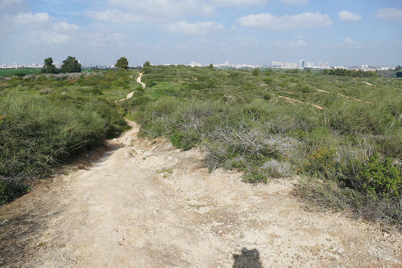 גבעות הכורכר, נס ציונה
